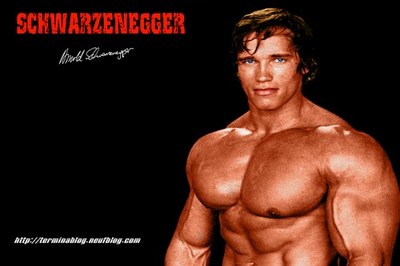 Arnold schwarzenegger 20060109 99364